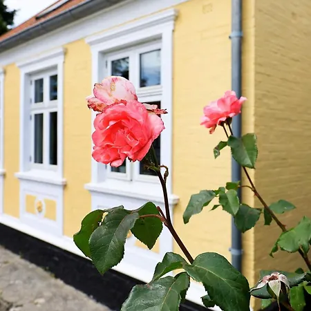 Scenic Retreat With Fireplace & Terrace Σπίτι διακοπών